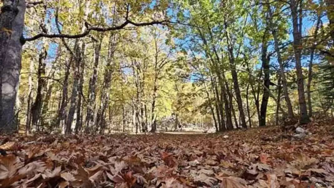 Dünyada Sadece Isparta'da Var! İzinsiz Girenlere 557 Bin TL Ceza 9